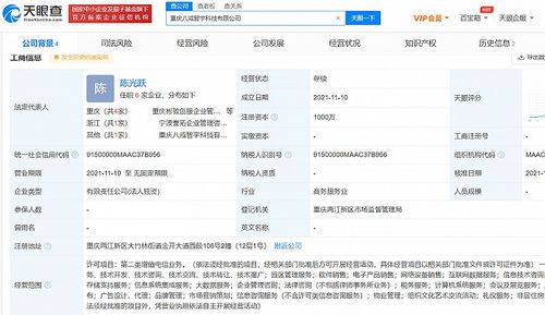 豬八戒網成立新公司，注資千萬加碼互聯網數據服務